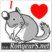 autocollant chinchilla