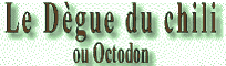 Degue du Chili